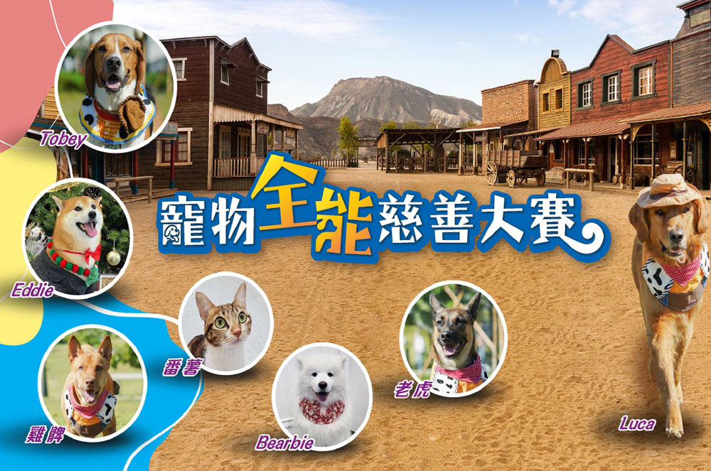 寵物全能慈善大賽